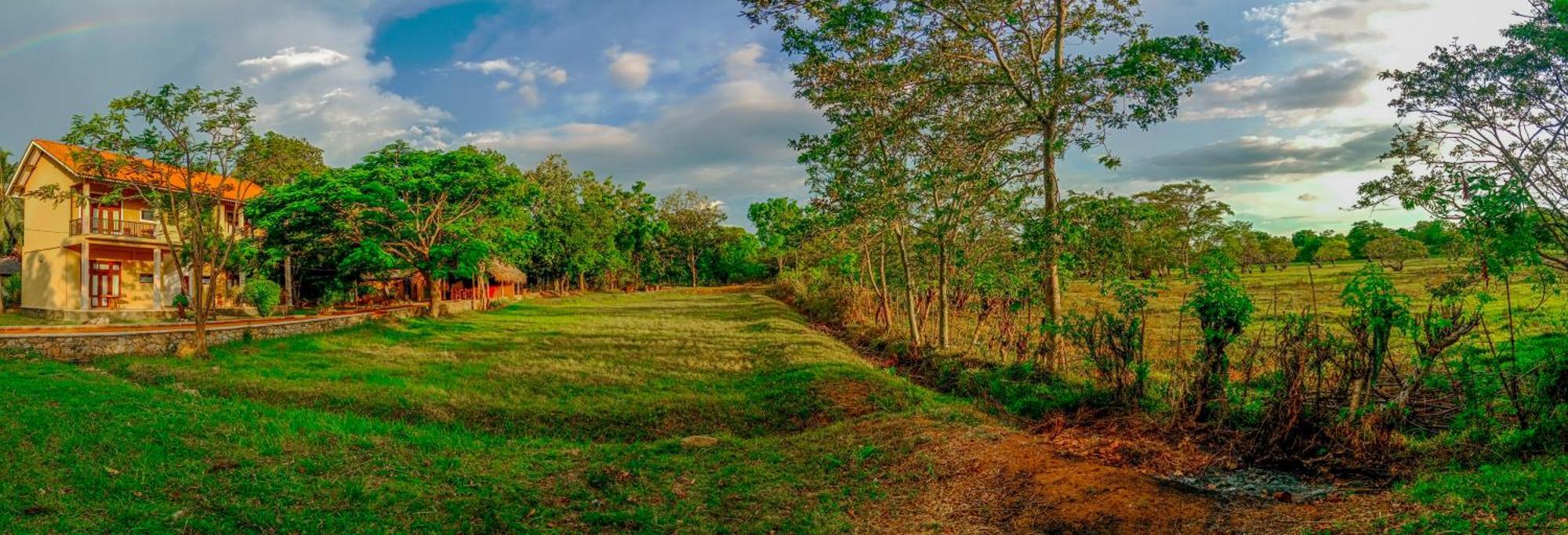 Sigiri Lanka Resort Szigirija Kültér fotó
