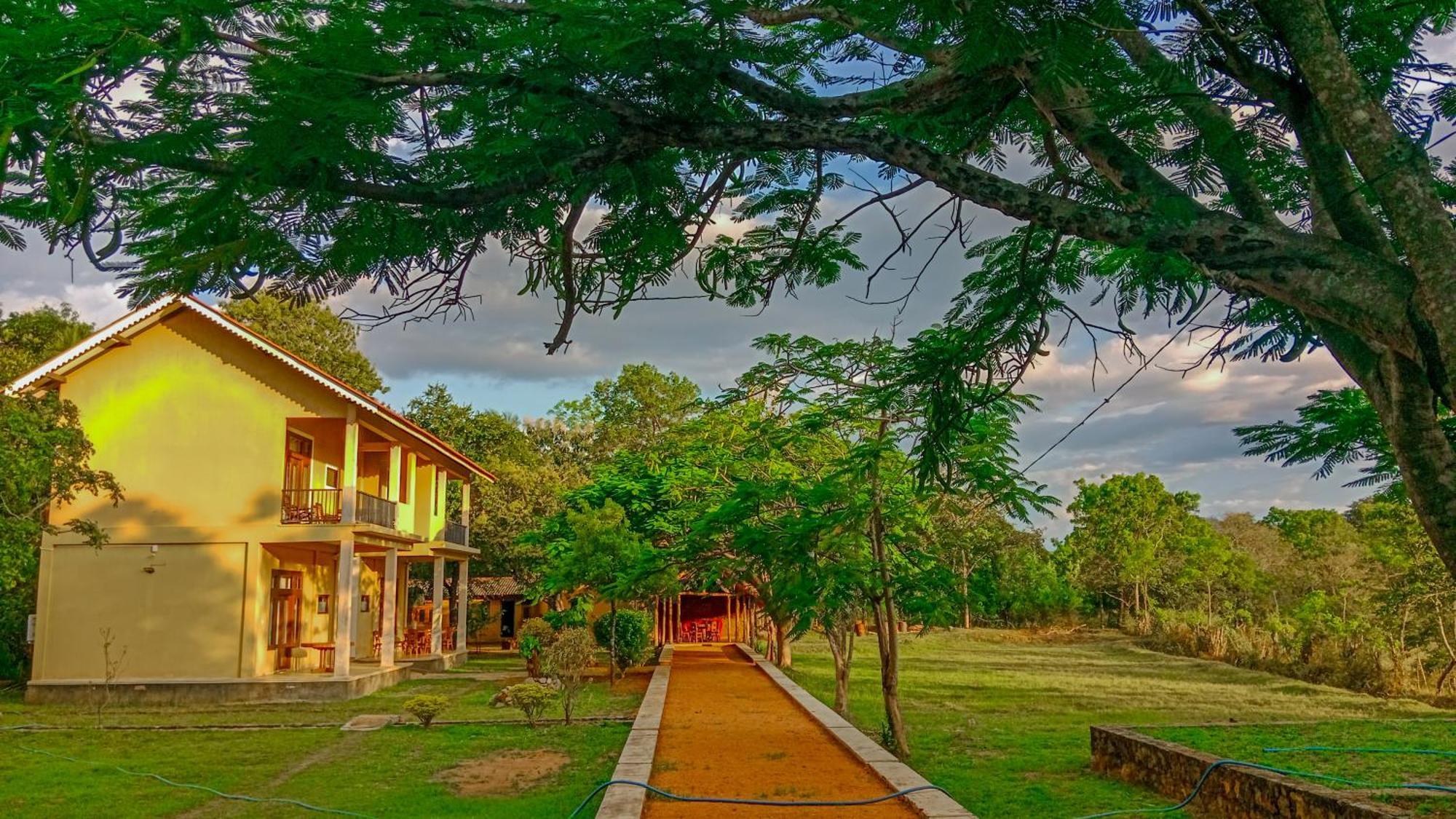Sigiri Lanka Resort Szigirija Kültér fotó